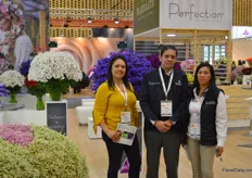 Plazoleta is a grower of a wide variety of flowers, notably of alstroemeria, statice, limonium, solidago, and more. From left to right Maria Cuadros, German Gomez, and Gloria Santiesteban.